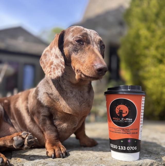 Ninja Coffee