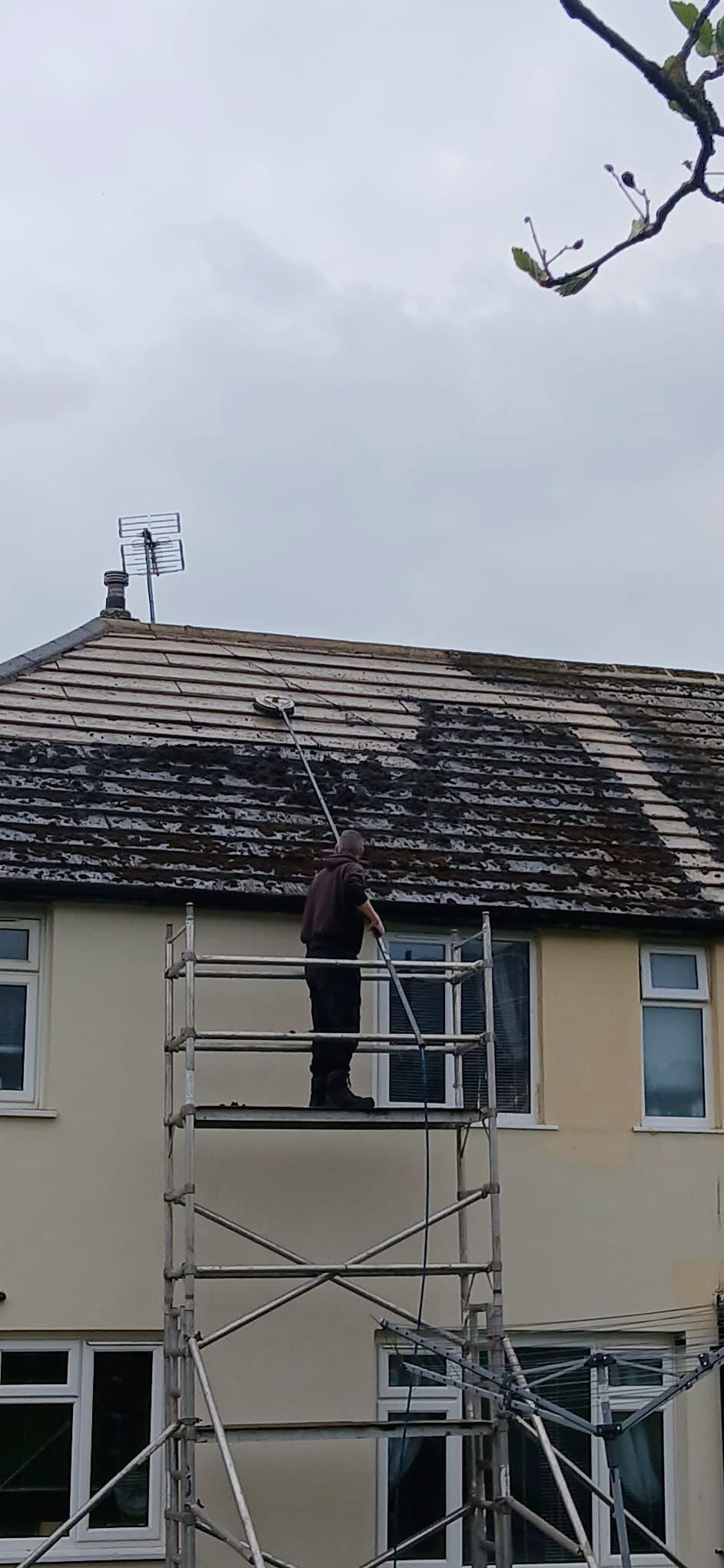 Prestige Hydrosteam