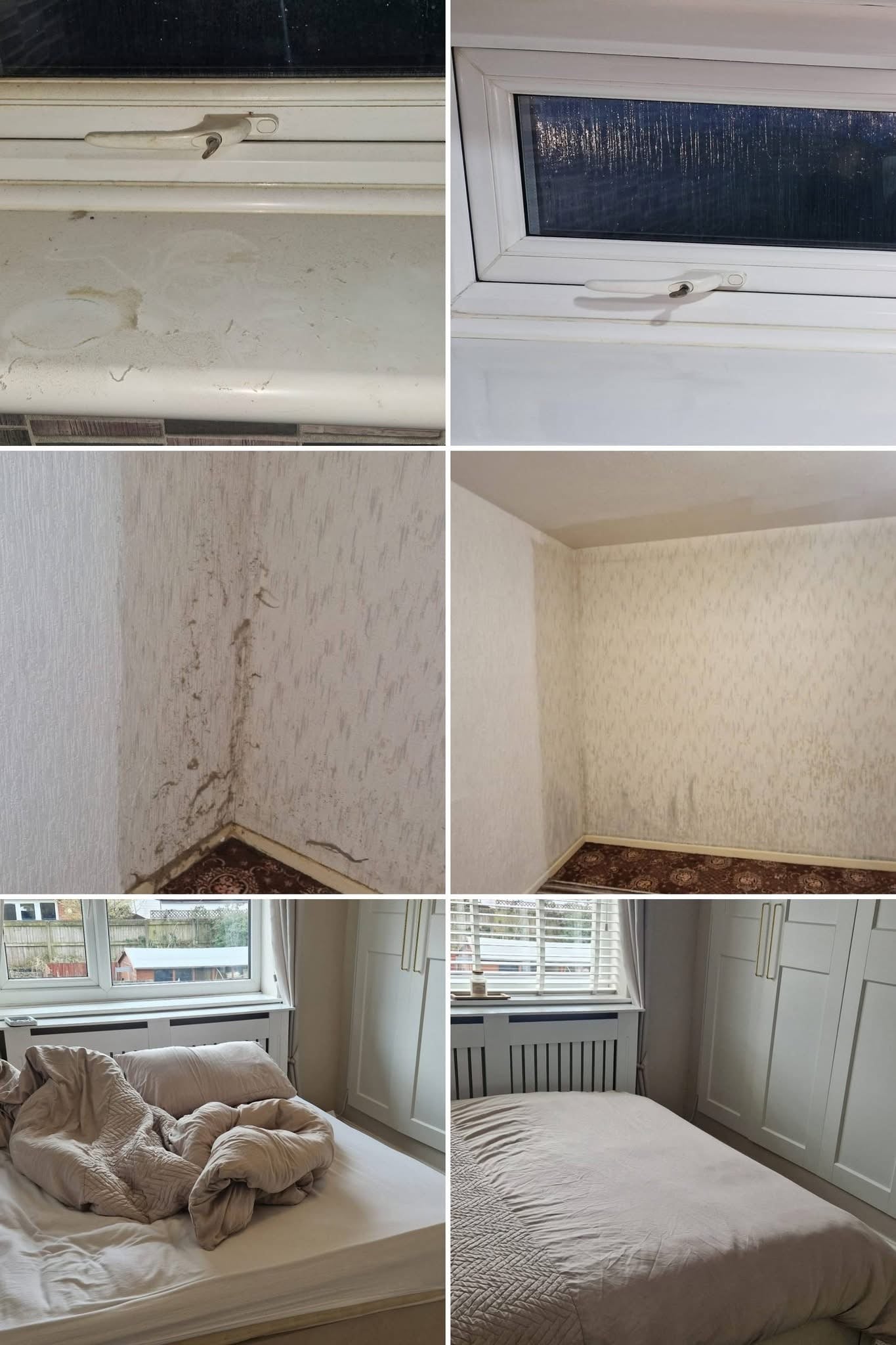 Ideal Cleaning Solutions
